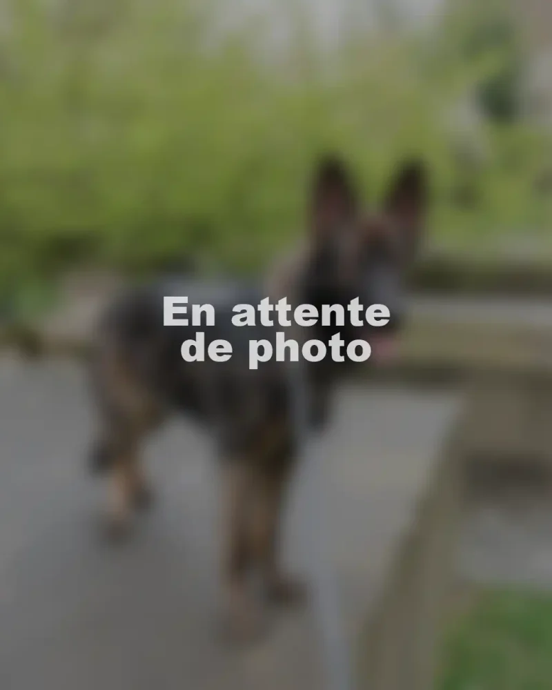 en attente photo (4)