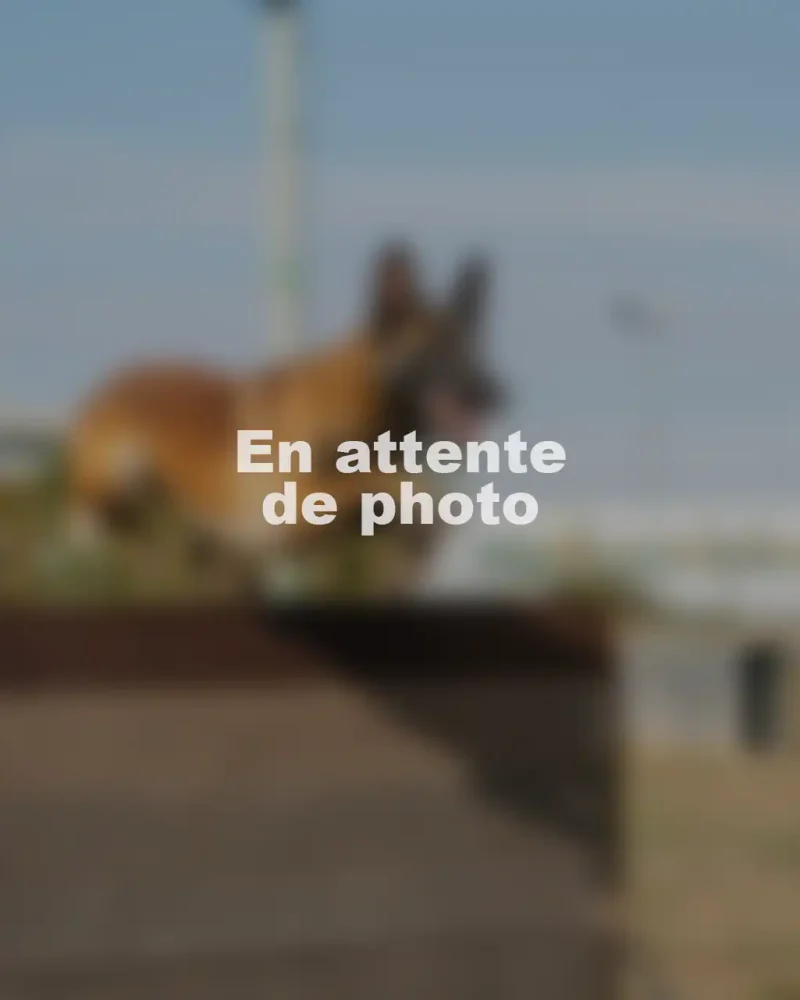 en attente photo (5)